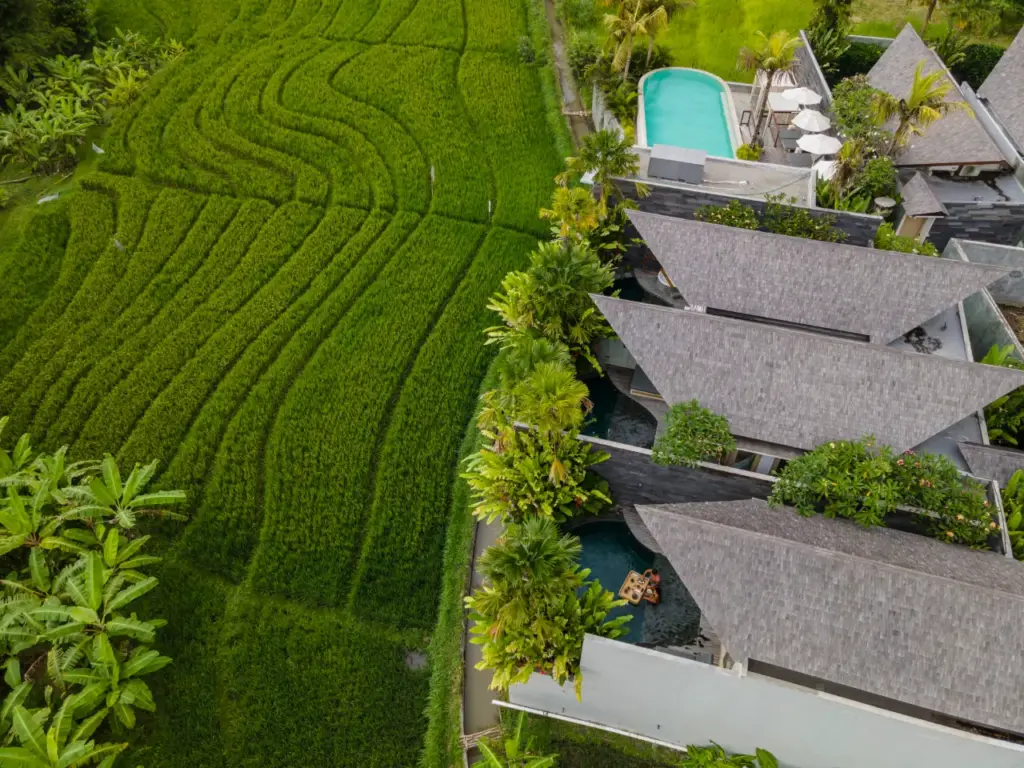 Bali honeymoon package gallery image